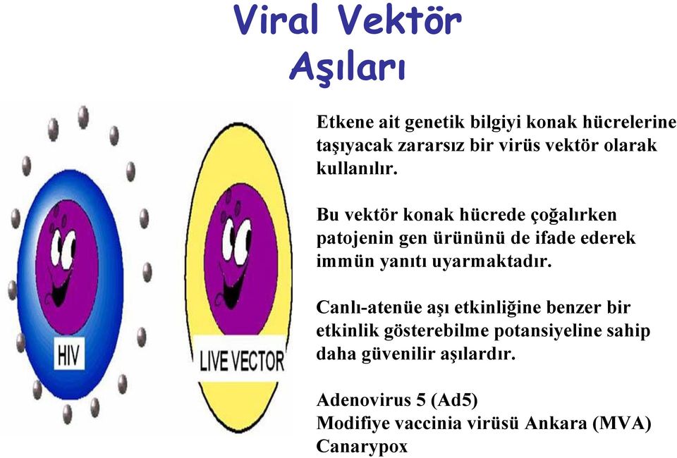 Bu vektör konak hücrede çoğalırken patojenin gen ürününü de ifade ederek immün yanıtı uyarmaktadır.