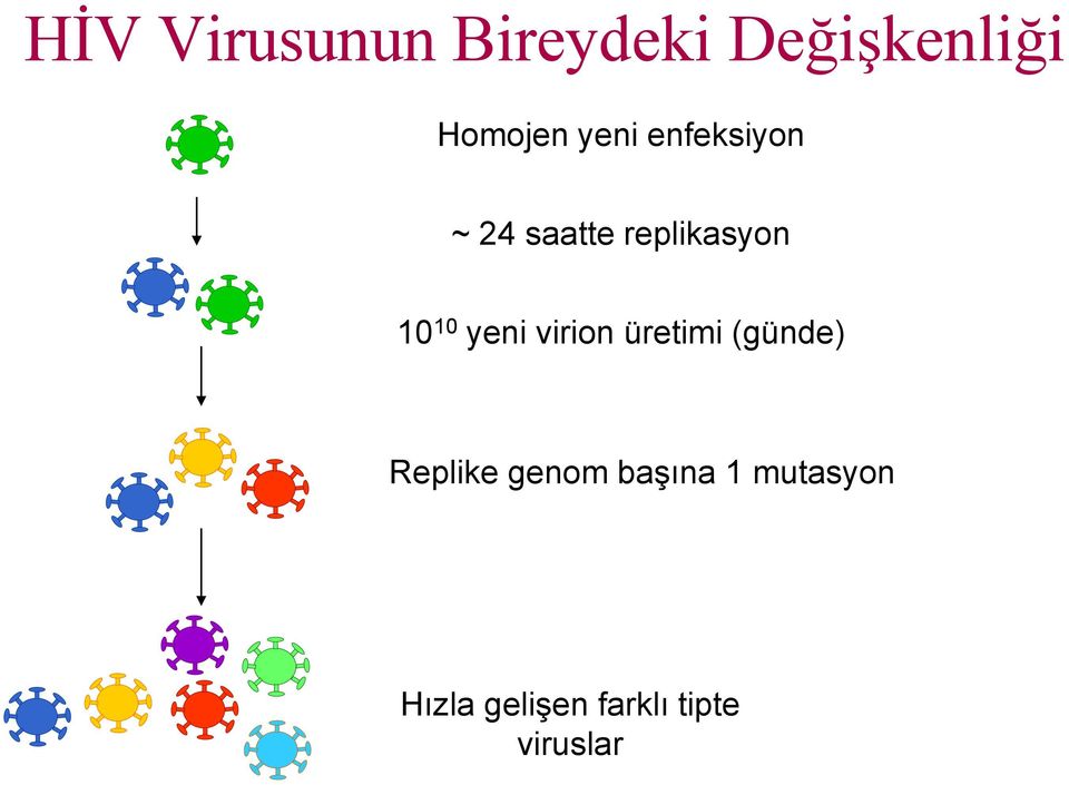 yeni virion üretimi (günde) Replike genom