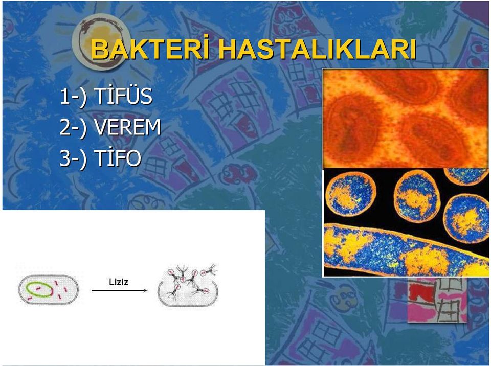 1-) ) TĐFÜS T