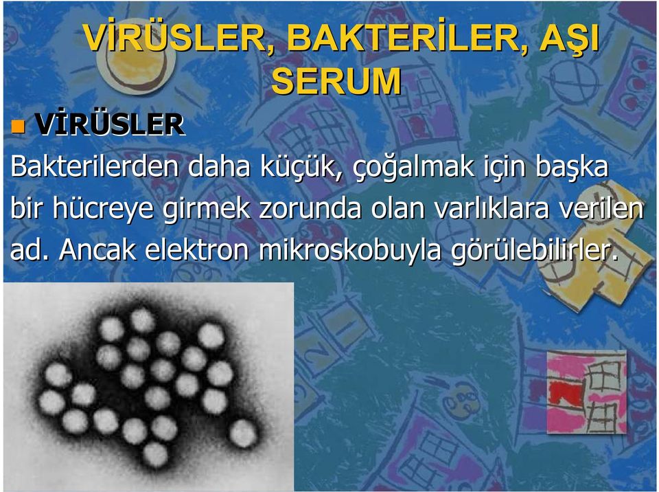 başka bir hücreye h girmek zorunda olan varlıklara