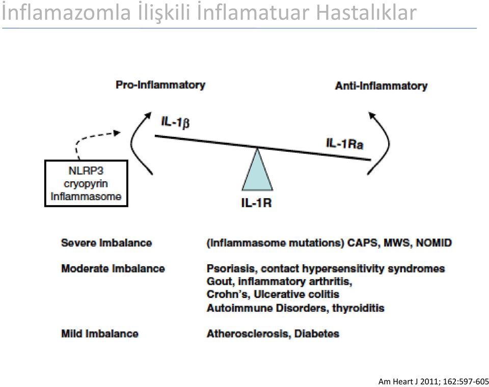 İnflamatuar