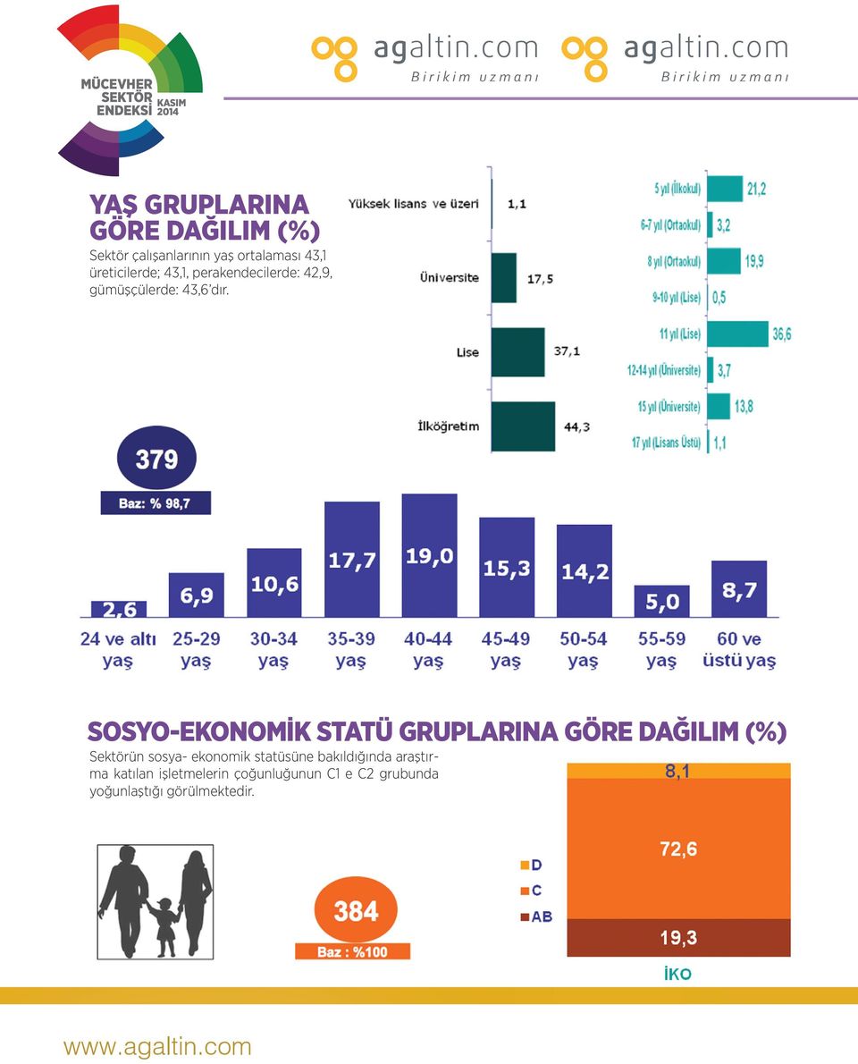 SOSYO-EKONOMİK STATÜ GRUPLARINA GÖRE DAĞILIM (%) Sektörün sosya- ekonomik statüsüne