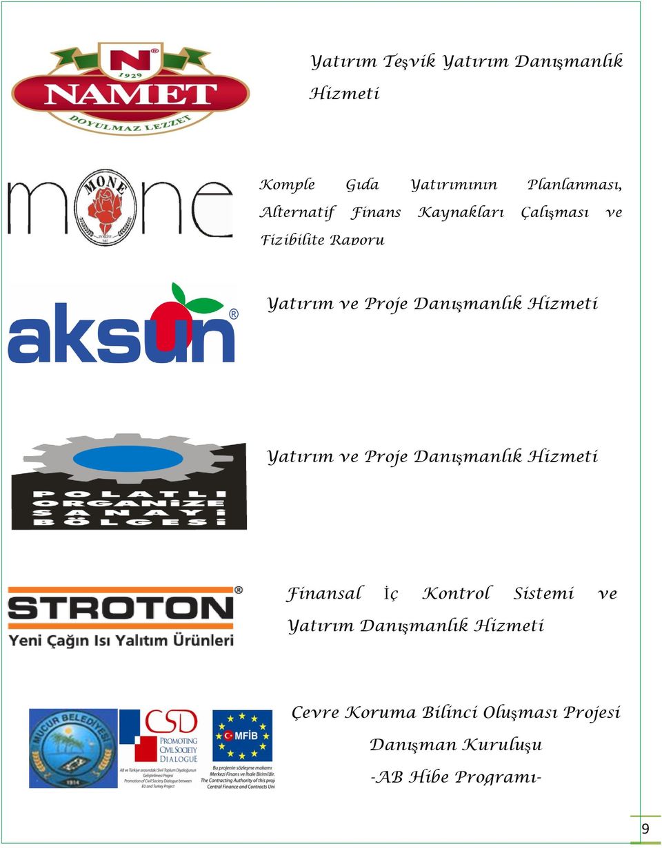 Danışmanlık Hizmeti Yatırım ve Proje Danışmanlık Hizmeti Finansal İç Kontrol Sistemi ve