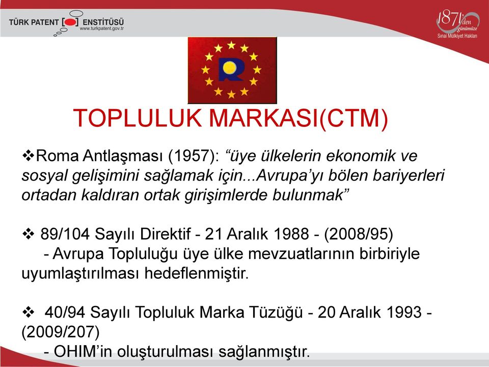 Aralık 1988 - (2008/95) - Avrupa Topluluğu üye ülke mevzuatlarının birbiriyle uyumlaştırılması