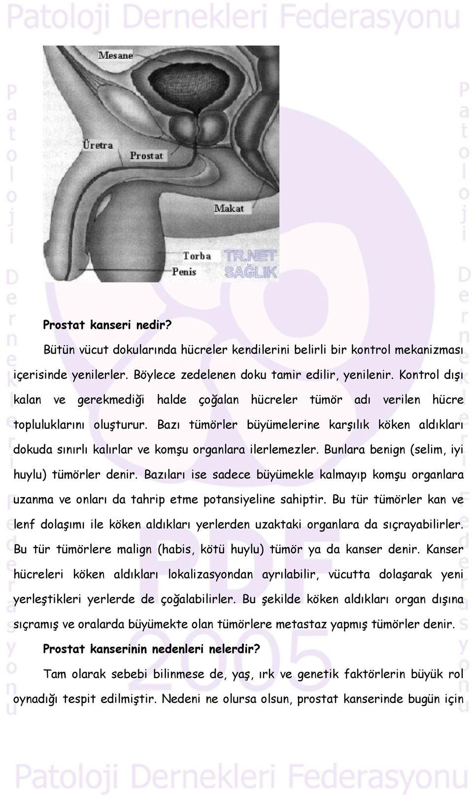 Bazı tümörler büyümelerine karşılık köken aldıkları dokuda sınırlı kalırlar ve komşu organlara ilerlemezler. Bunlara benign (selim, iyi huylu) tümörler denir.