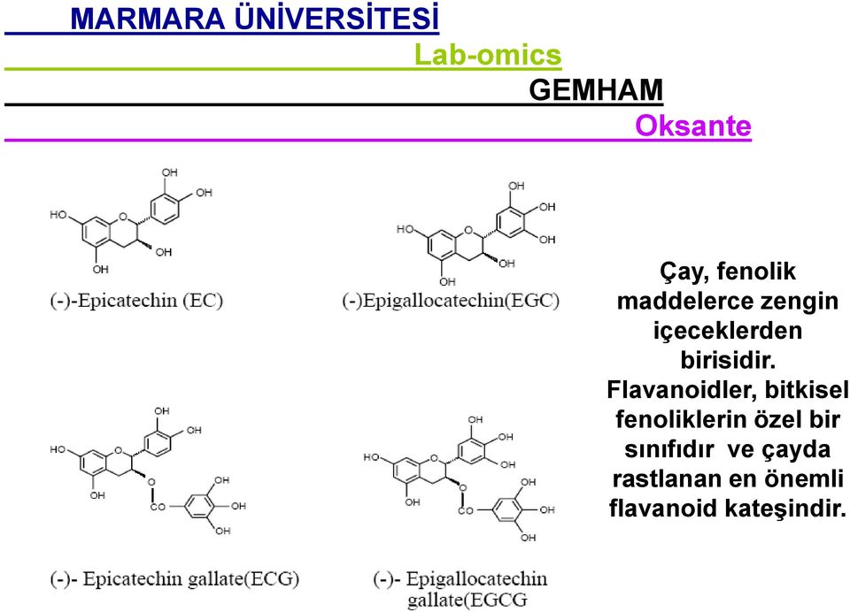 Flavanoidler, bitkisel fenoliklerin