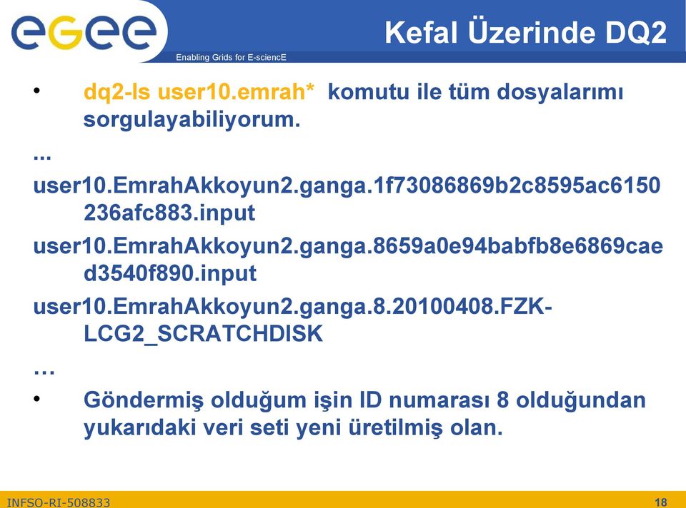 input user10.emrahakkoyun2.ganga.8.20100408.