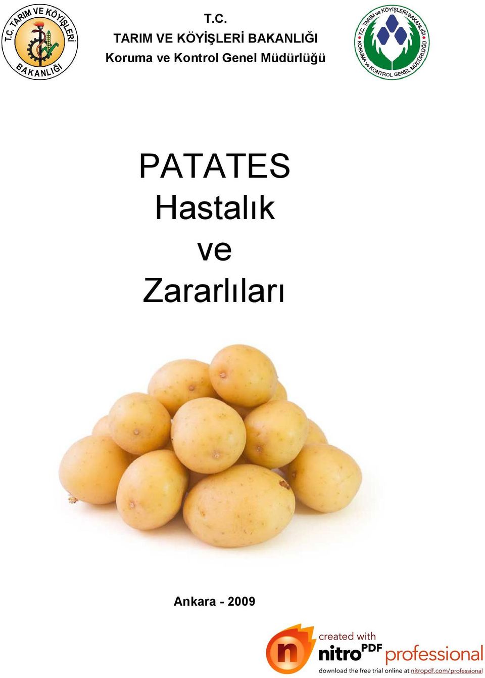 Genel Müdürlüğü PATATES