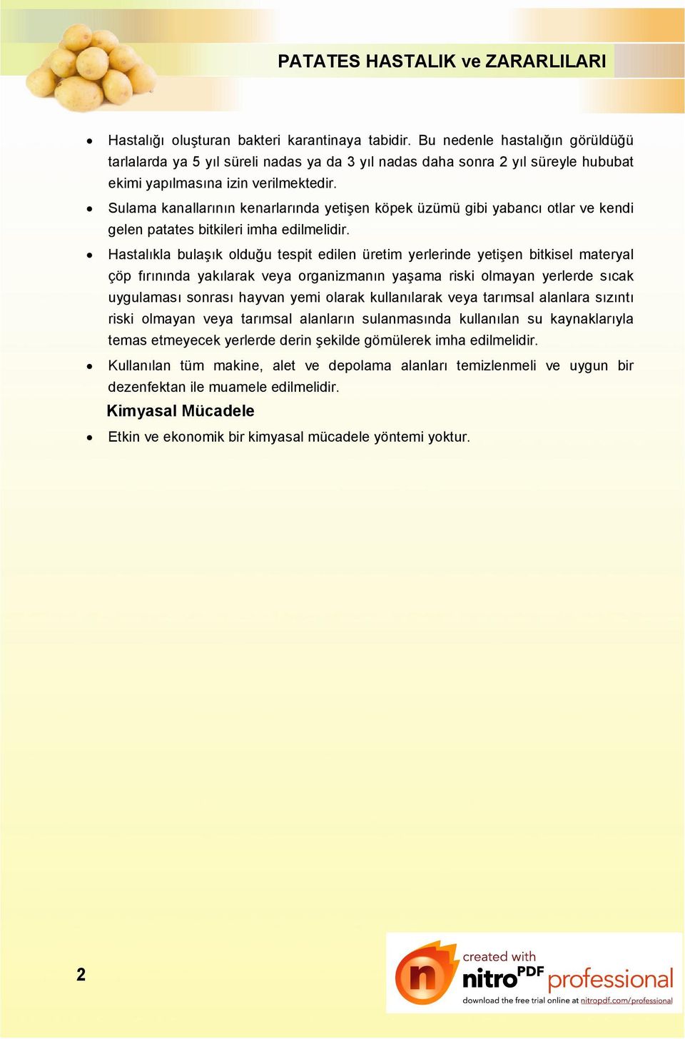 Sulama kanallarının kenarlarında yetişen köpek üzümü gibi yabancı otlar ve kendi gelen patates bitkileri imha edilmelidir.