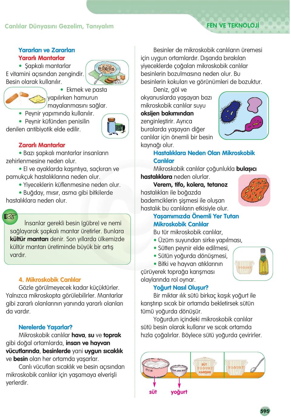 Zararl Mantarlar Baz flapkal mantarlar insanlar n zehirlenmesine neden olur. El ve ayaklarda kafl nt ya, saçk ran ve pamukçuk hastal klar na neden olur. Yiyeceklerin küflenmesine neden olur.