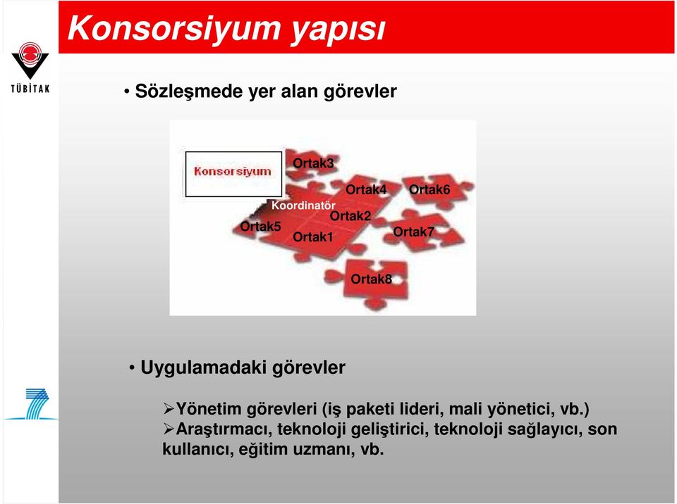 görevler Yönetim görevleri (iş paketi lideri, mali yönetici, vb.