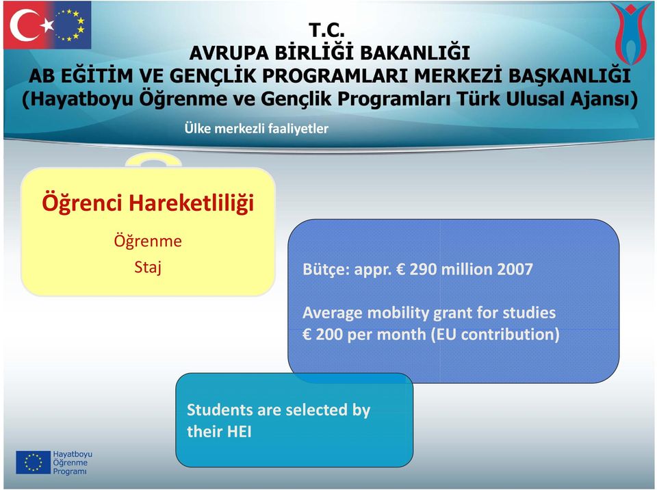 290 million 2007 Average mobility grant for