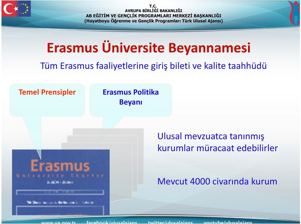 Prensipler Erasmus Politika Beyanı Ulusal mevzuatca