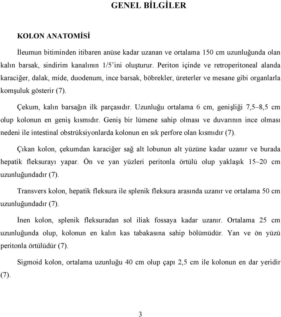 Uzunluğu ortalama 6 cm, genişliği 7,5 8,5 cm olup kolonun en geniş kısmıdır.