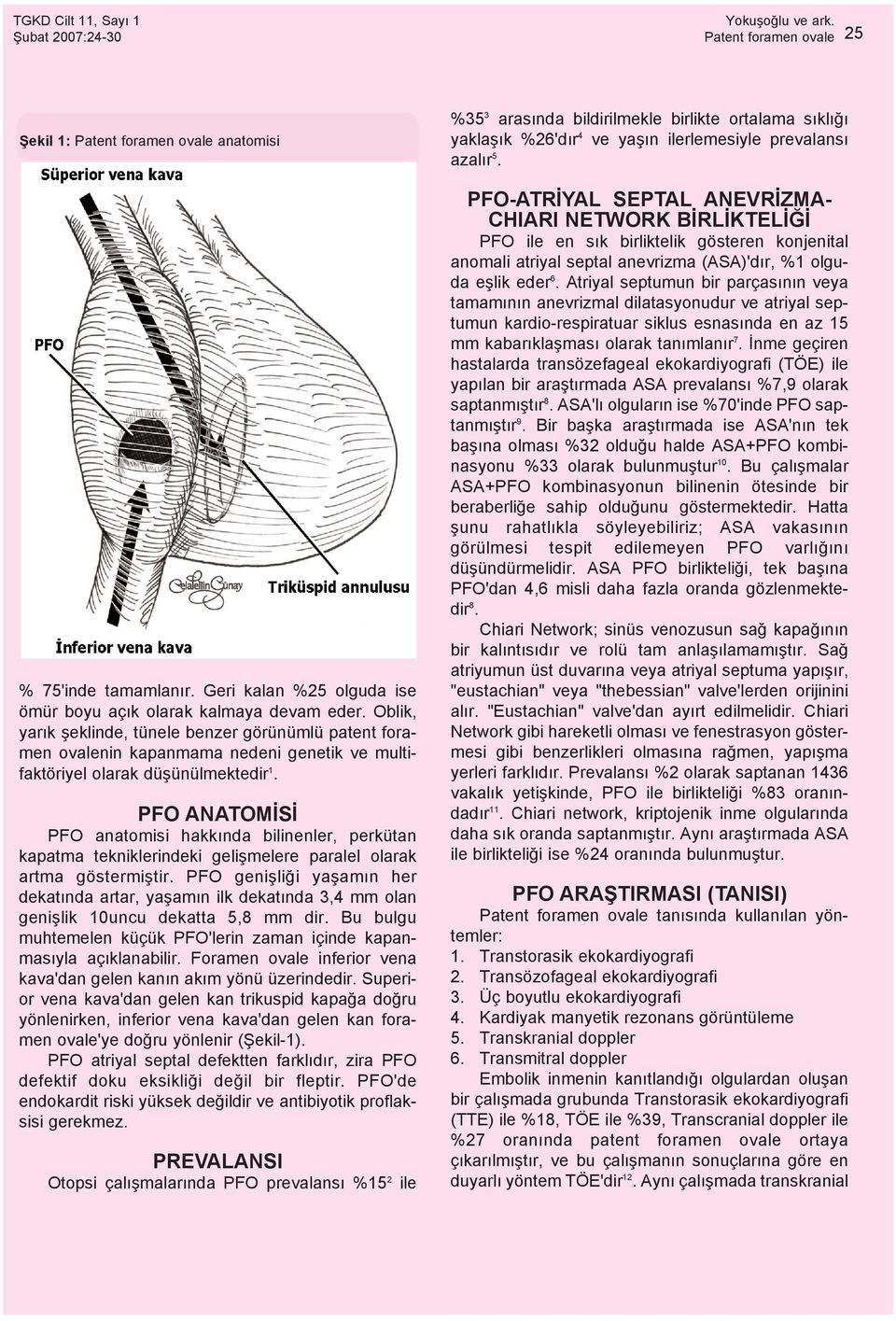 PFO ANATOMÝSÝ PFO anatomisi hakkýnda bilinenler, perkütan kapatma tekniklerindeki geliþmelere paralel olarak artma göstermiþtir.