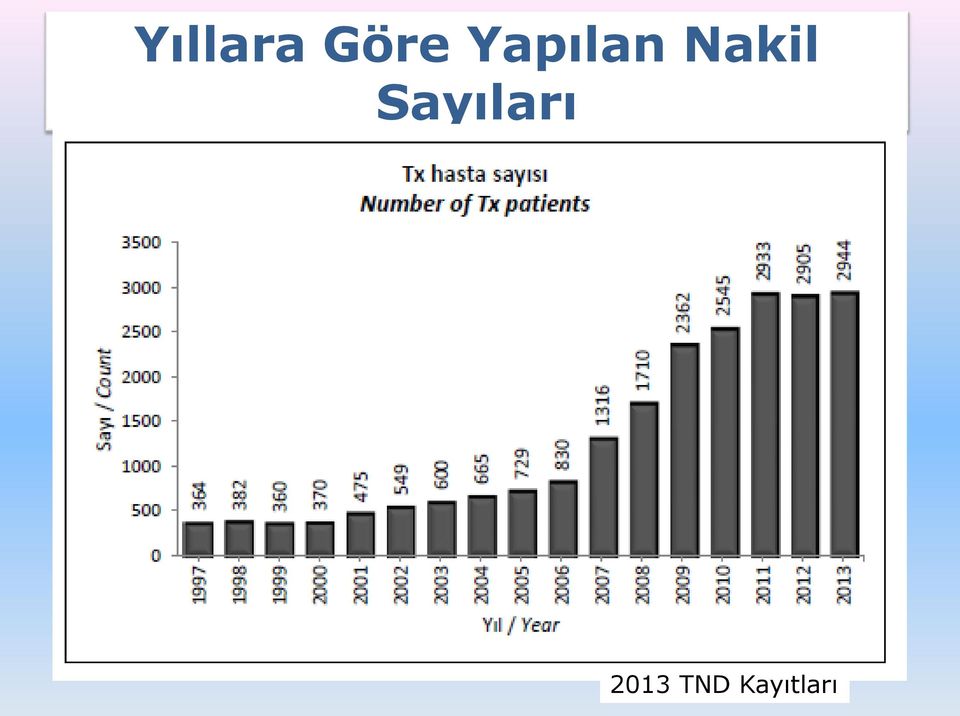 Sayıları 2013