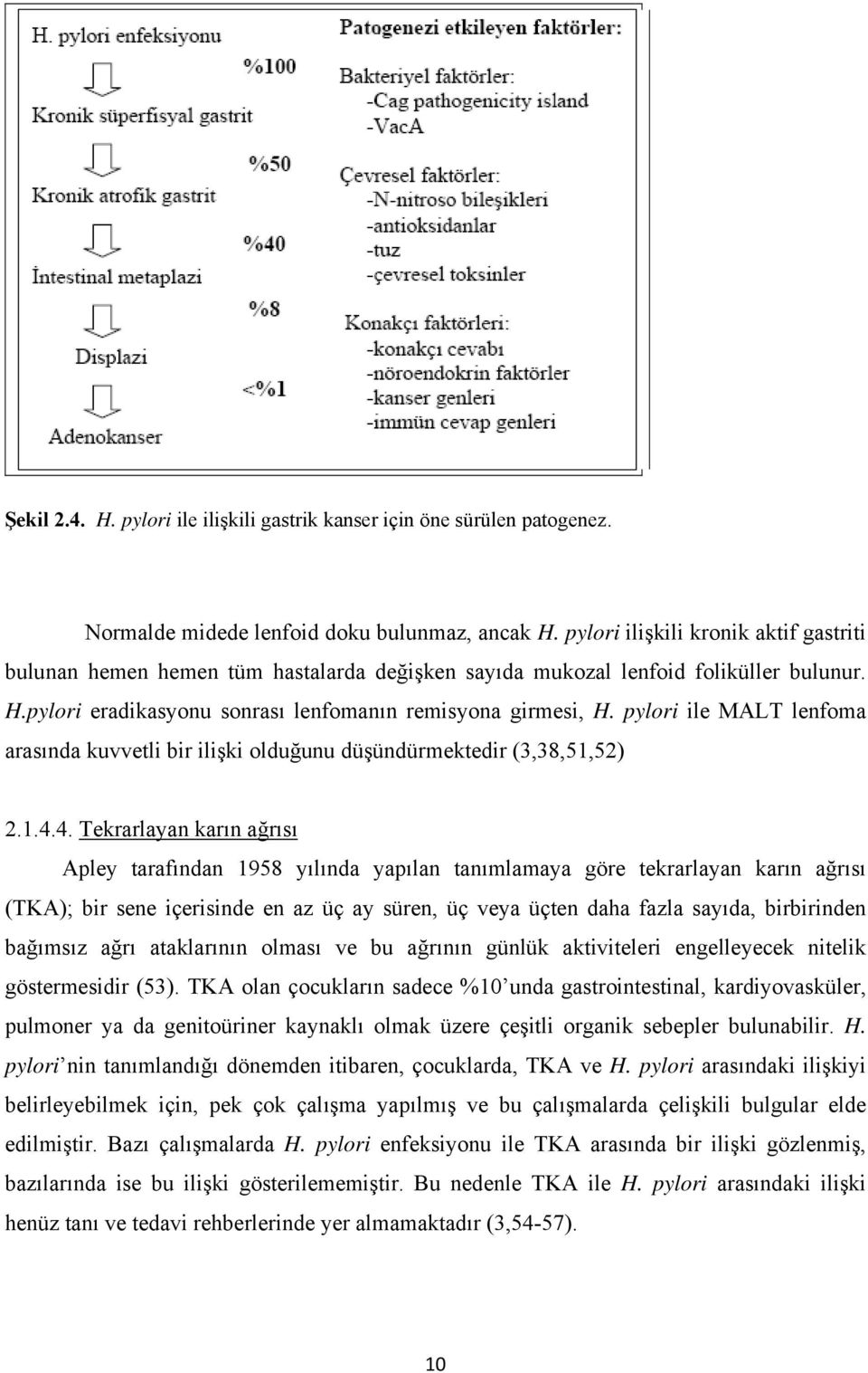 pylori ile MALT lenfoma arasında kuvvetli bir ilişki olduğunu düşündürmektedir (3,38,51,52) 2.1.4.