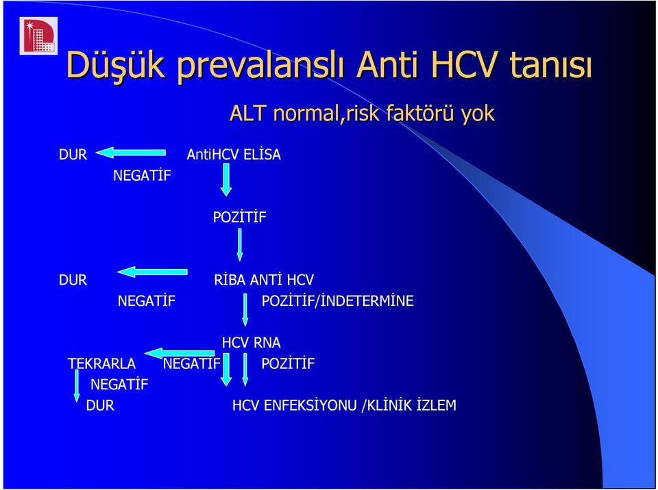 RİBA ANTİ HCV NEGATİF POZİTİF/İNDETERMİNE HCV RNA