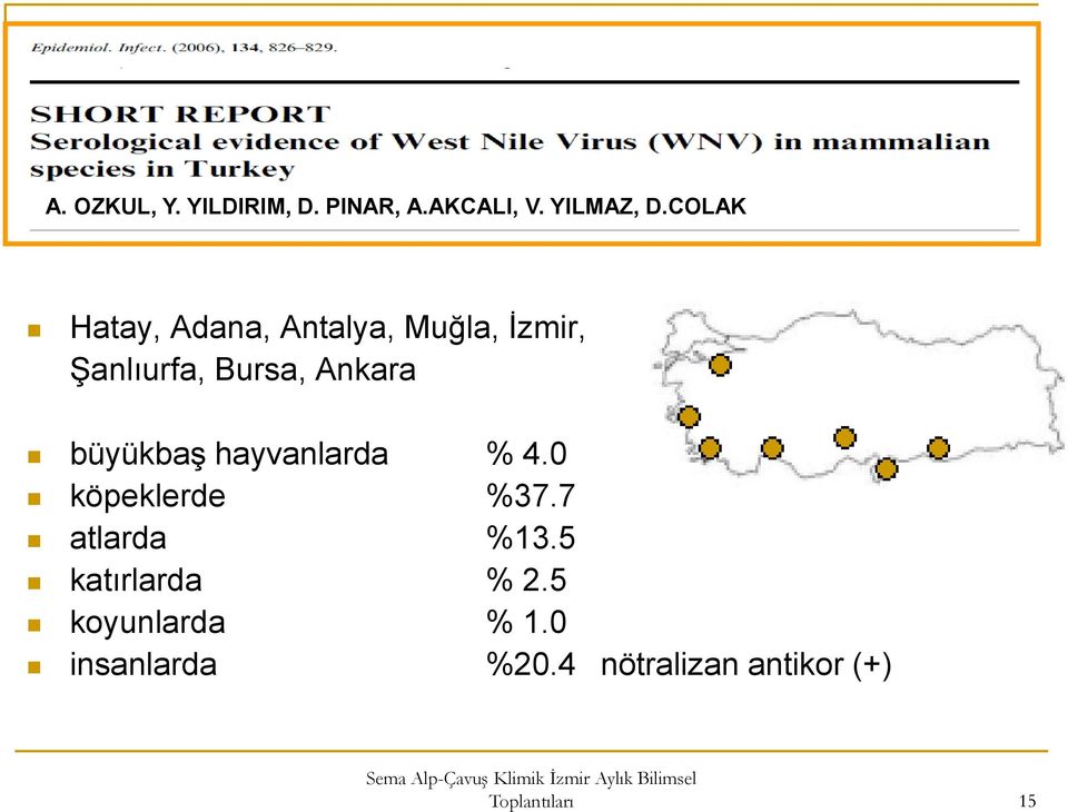 büyükbaş hayvanlarda % 4.0 köpeklerde %37.7 atlarda %13.