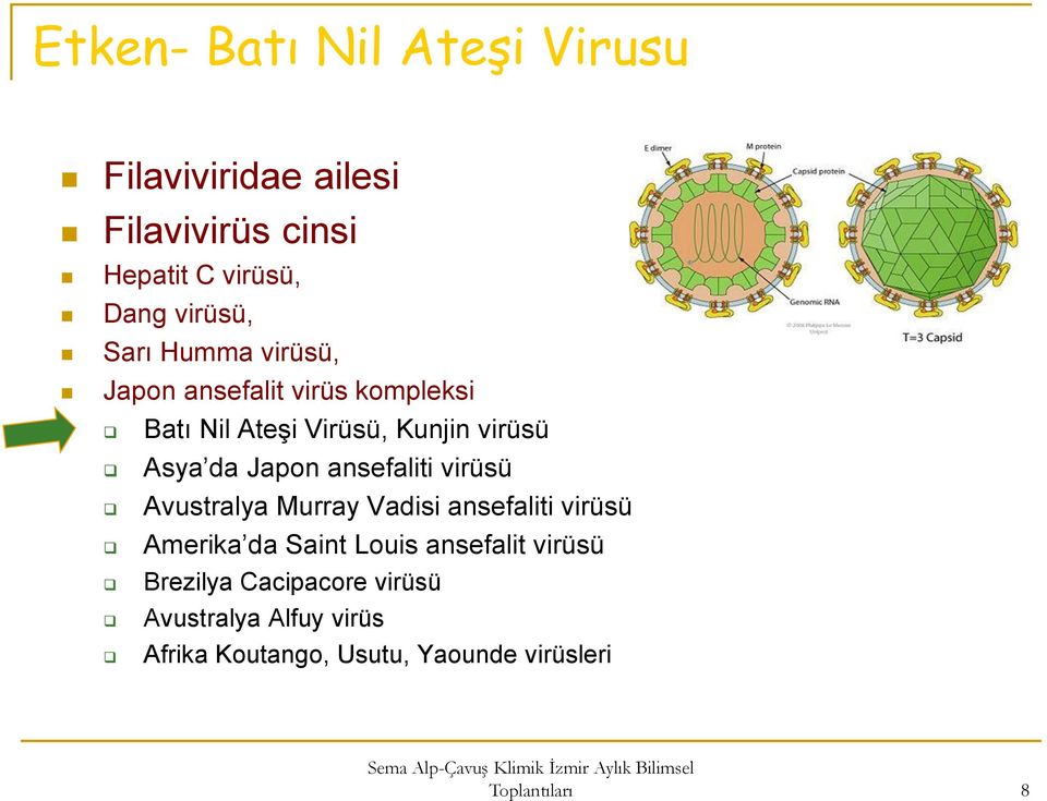 ansefaliti virüsü Avustralya Murray Vadisi ansefaliti virüsü Amerika da Saint Louis ansefalit virüsü
