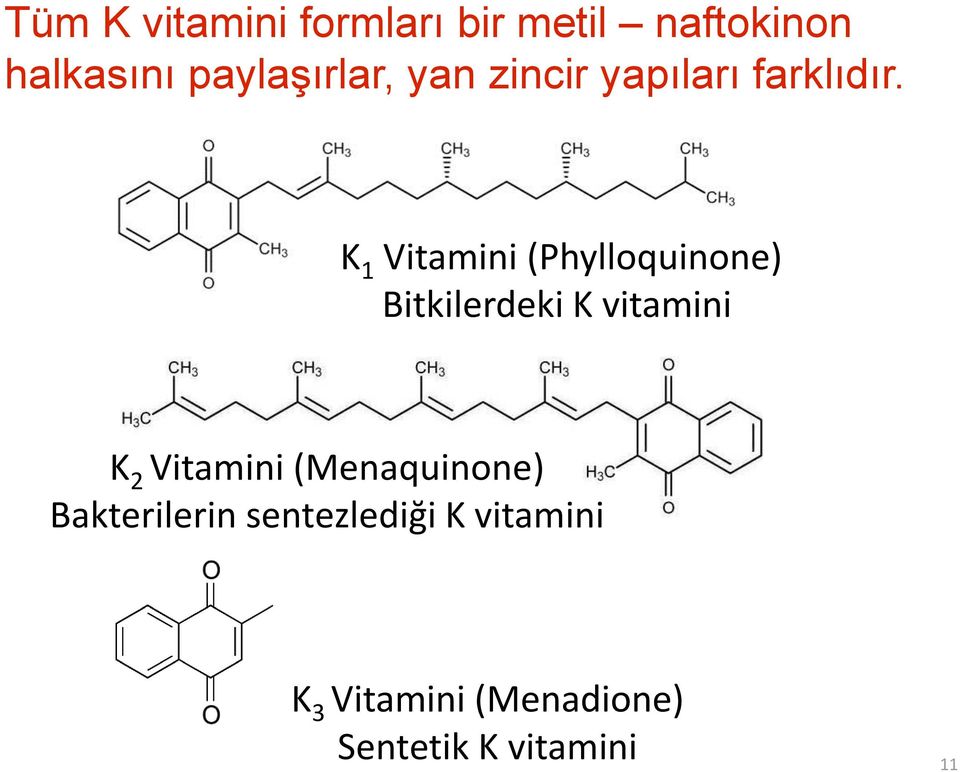 K 1 Vitamini (Phylloquinone) Bitkilerdeki K vitamini K 2 Vitamini