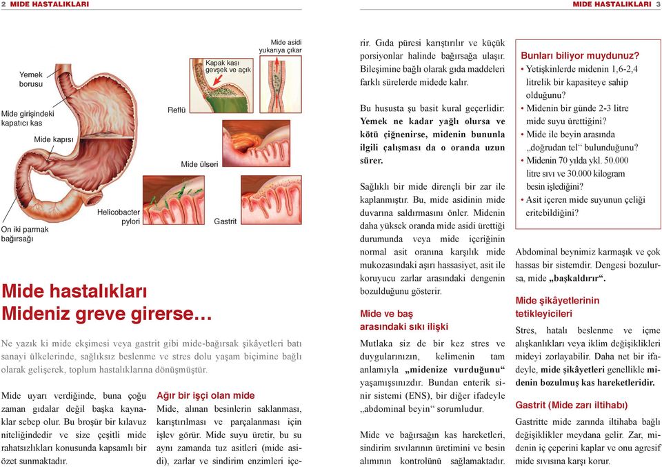 Reflü Mide ülseri Mide hastalıkları Mideniz greve girerse Kapak kası gevşek ve açık Gastrit Mide asidi yukarıya çıkar Ne yazık ki mide ekşimesi veya gastrit gibi mide-bağırsak şikâyetleri batı sanayi