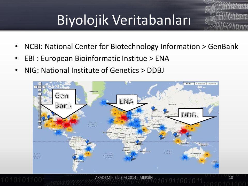 Bioinformatic Institue > ENA NIG: National Institute of