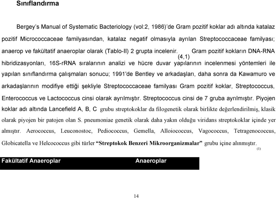 (4,1) Gram pozitif kokların DNA-RNA hibridizasyonları, 16S-rRNA sıralarının analizi ve hücre duvar yapılarının incelenmesi yöntemleri ile yapılan sınıflandırma çalışmaları sonucu; 1991'de Bentley ve