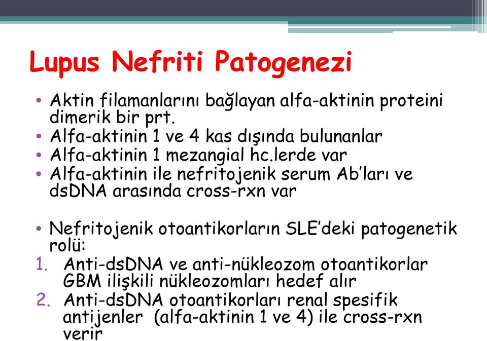 lerde var Alfa-aktinin ile nefritojenik serum Ab ları ve dsdna arasında cross-rxn var Nefritojenik otoantikorların SLE