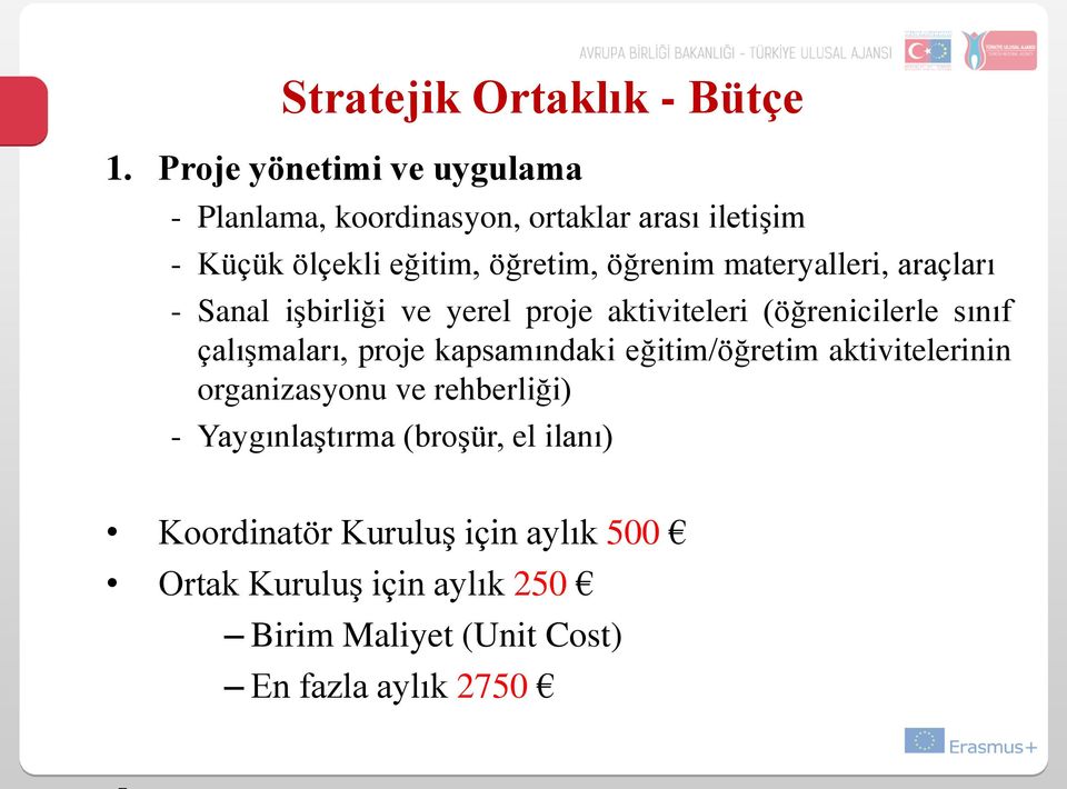 materyalleri, araçları - Sanal işbirliği ve yerel proje aktiviteleri (öğrenicilerle sınıf çalışmaları, proje