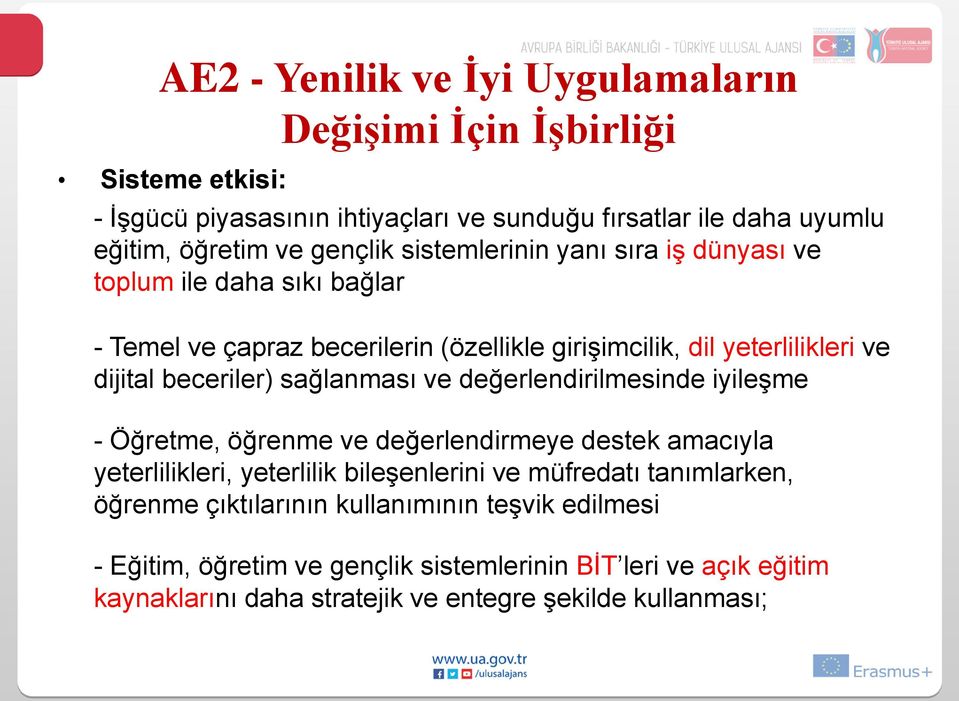 beceriler) sağlanması ve değerlendirilmesinde iyileşme - Öğretme, öğrenme ve değerlendirmeye destek amacıyla yeterlilikleri, yeterlilik bileşenlerini ve müfredatı