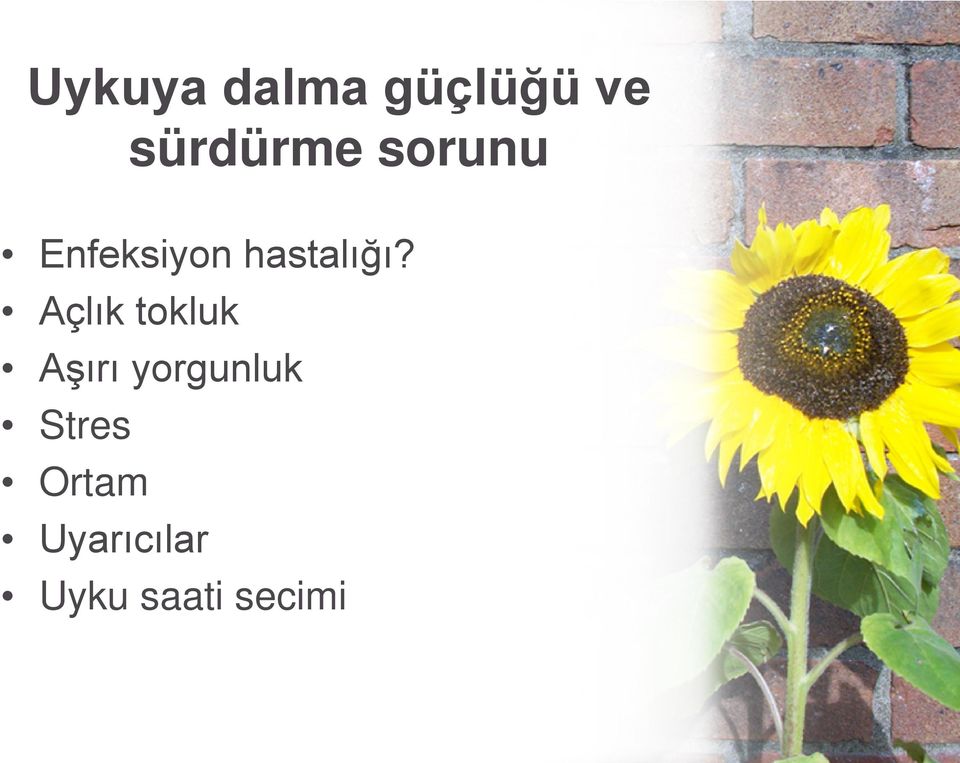 Açlık tokluk Aşırı yorgunluk