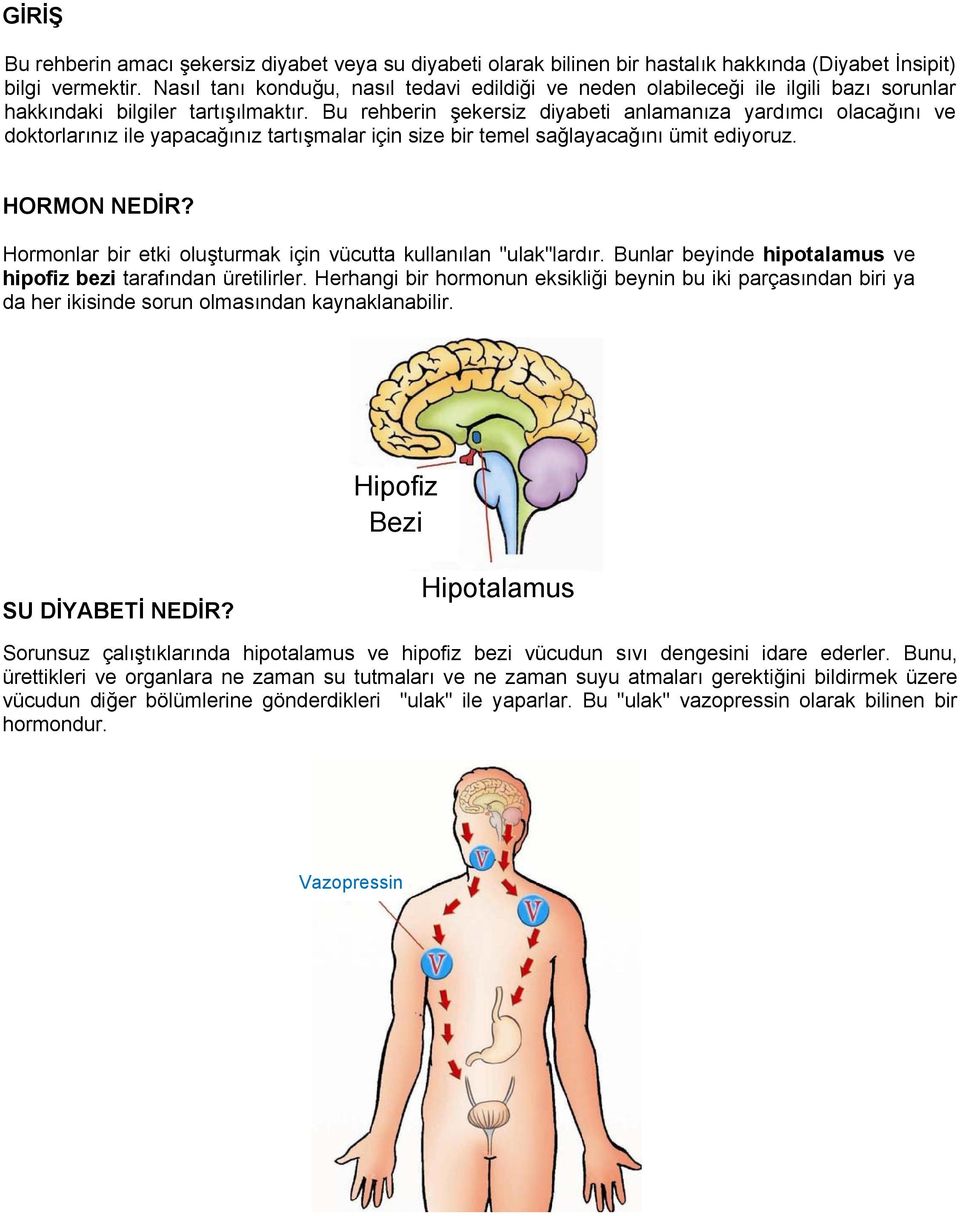 Bu rehberin şekersiz diyabeti anlamanıza yardımcı olacağını ve doktorlarınız ile yapacağınız tartışmalar için size bir temel sağlayacağını ümit ediyoruz. HORMON NEDİR?