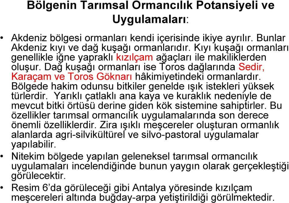 Bölgede hakim odunsu bitkiler genelde ışık istekleri yüksek türlerdir. Yarıklı çatlaklı ana kaya ve kuraklık nedeniyle de mevcut bitki örtüsü derine giden kök sistemine sahiptirler.