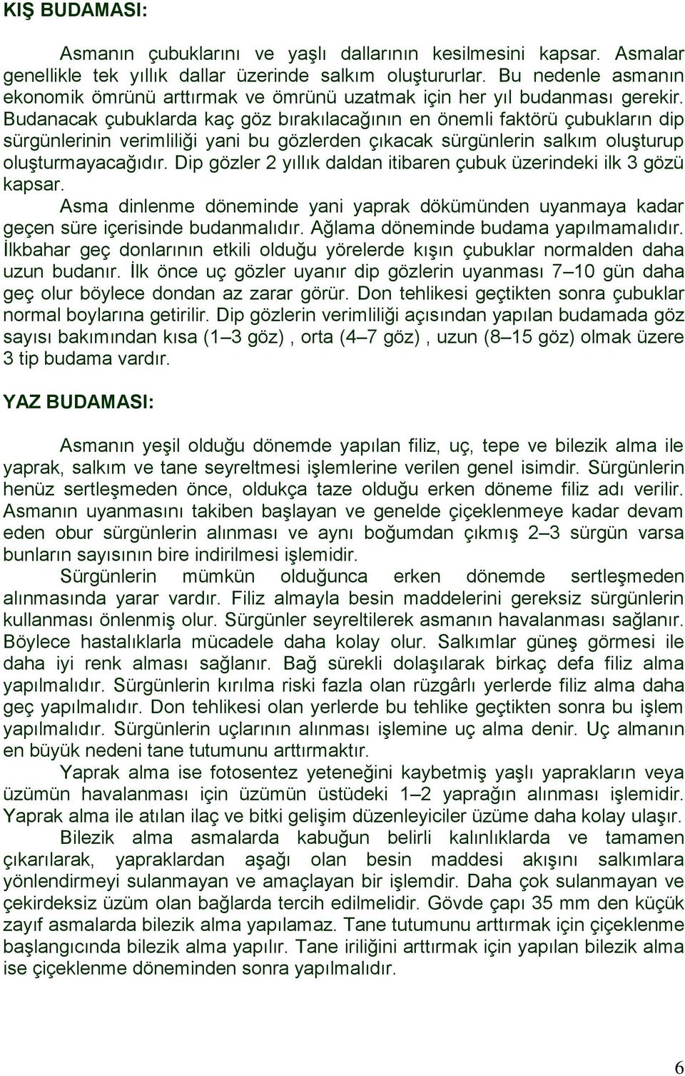 Budanacak çubuklarda kaç göz bırakılacağının en önemli faktörü çubukların dip sürgünlerinin verimliliği yani bu gözlerden çıkacak sürgünlerin salkım oluşturup oluşturmayacağıdır.