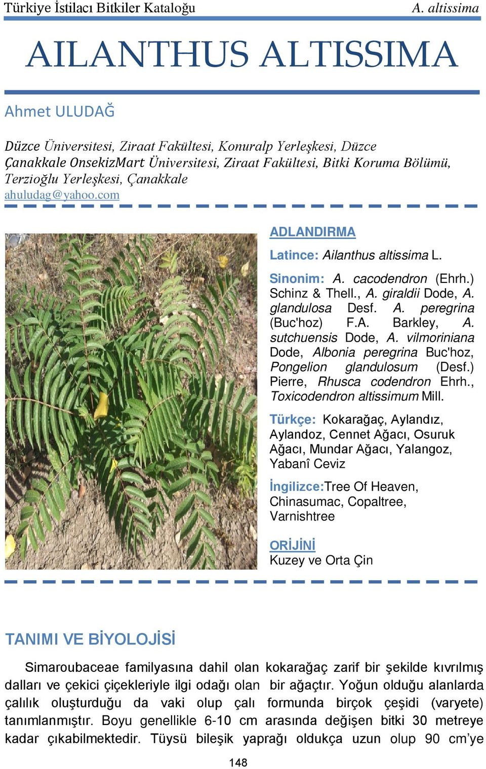 sutchuensis Dode, A. vilmoriniana Dode, Albonia peregrina Buc'hoz, Pongelion glandulosum (Desf.) Pierre, Rhusca codendron Ehrh., Toxicodendron altissimum Mill.