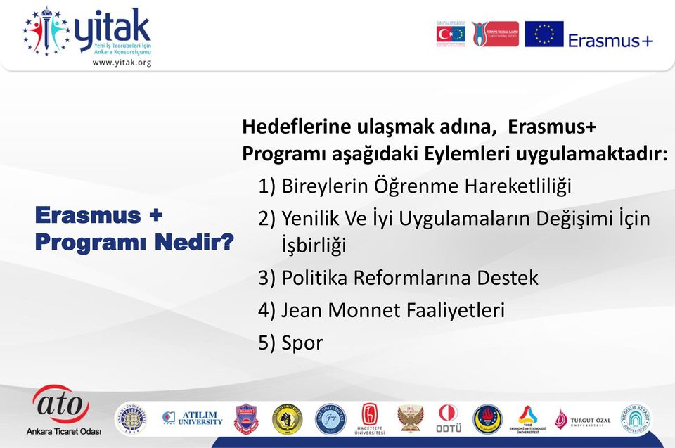 Programı Nedir?