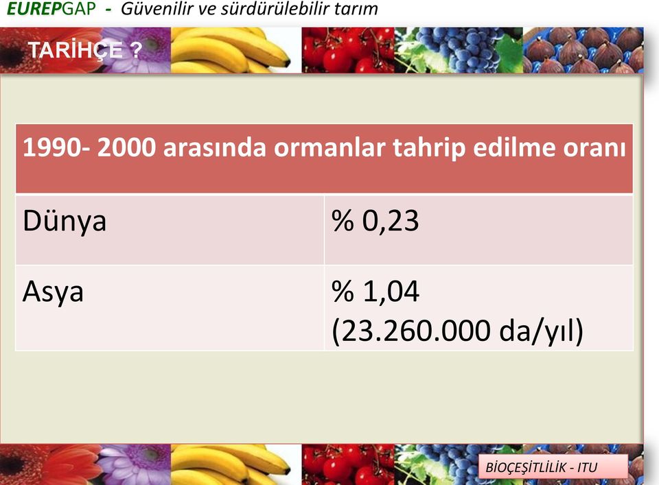 1990-2000 arasında ormanlar tahrip