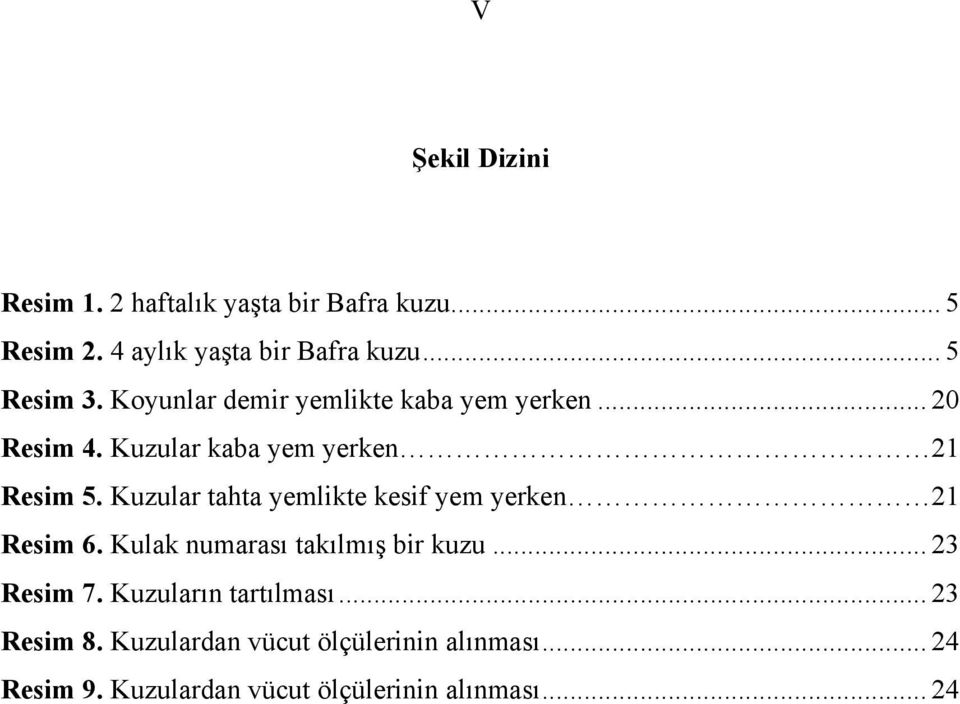 Kuzular tahta yemlikte kesif yem yerken 21 Resim 6. Kulak numarası takılmış bir kuzu... 23 Resim 7.