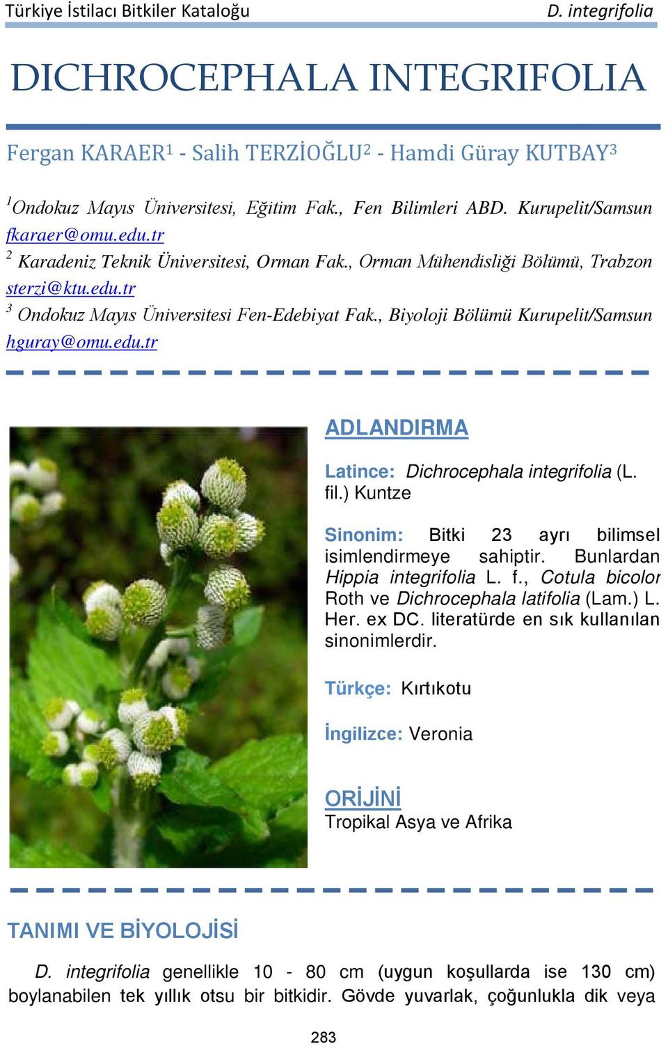 fil.) Kuntze Sinonim: Bitki 23 ayrı bilimsel isimlendirmeye sahiptir. Bunlardan Hippia integrifolia L. f., Cotula bicolor Roth ve Dichrocephala latifolia (Lam.) L. Her. ex DC.