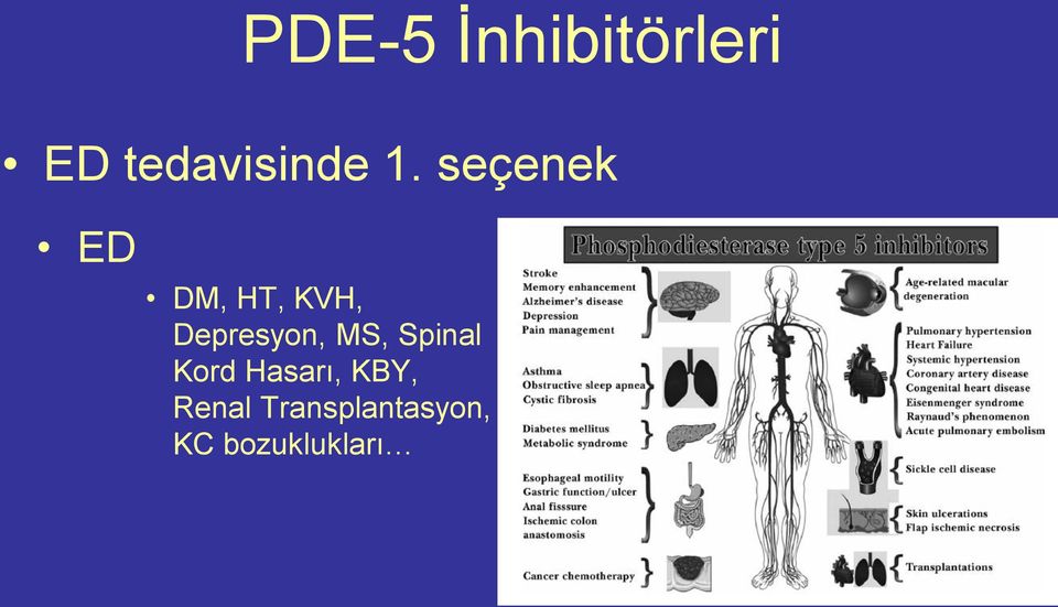 Depresyon, MS, Spinal Kord Hasarı,