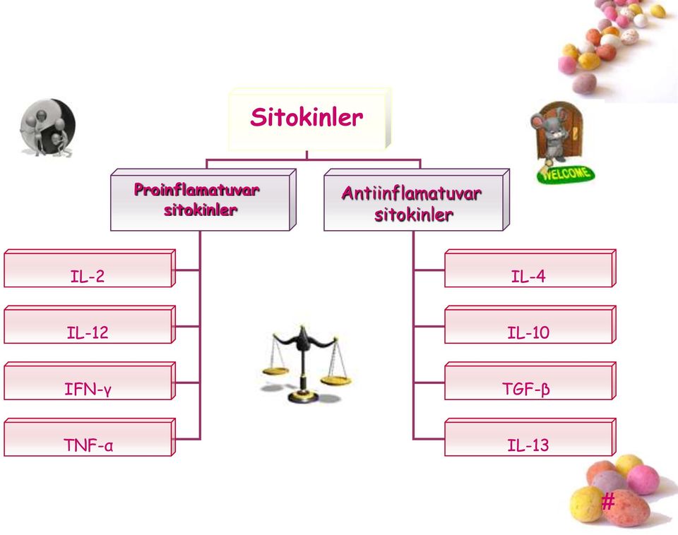 sitokinler IL-2 IL-4 IL-12