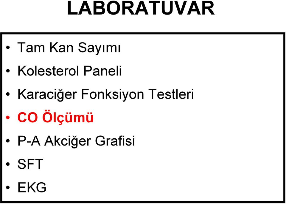 Fonksiyon Testleri CO