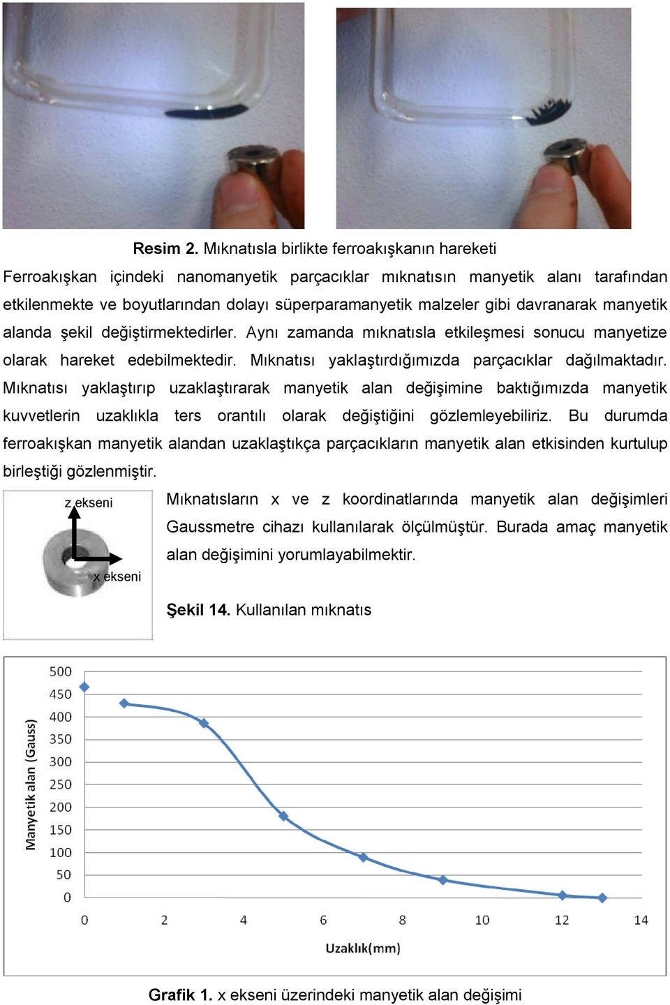 davranarak manyetik alanda şekil değiştirmektedirler. Aynı zamanda mıknatısla etkileşmesi sonucu manyetize olarak hareket edebilmektedir. Mıknatısı yaklaştırdığımızda parçacıklar dağılmaktadır.