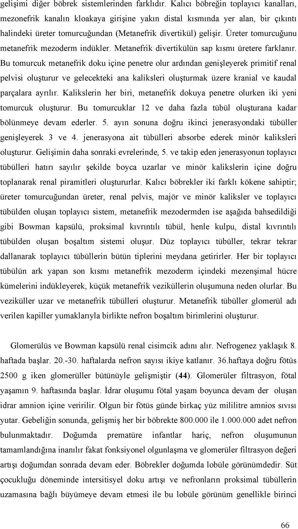 Üreter tomurcuğunu metanefrik mezoderm indükler. Metanefrik divertikülün sap kısmı üretere farklanır.