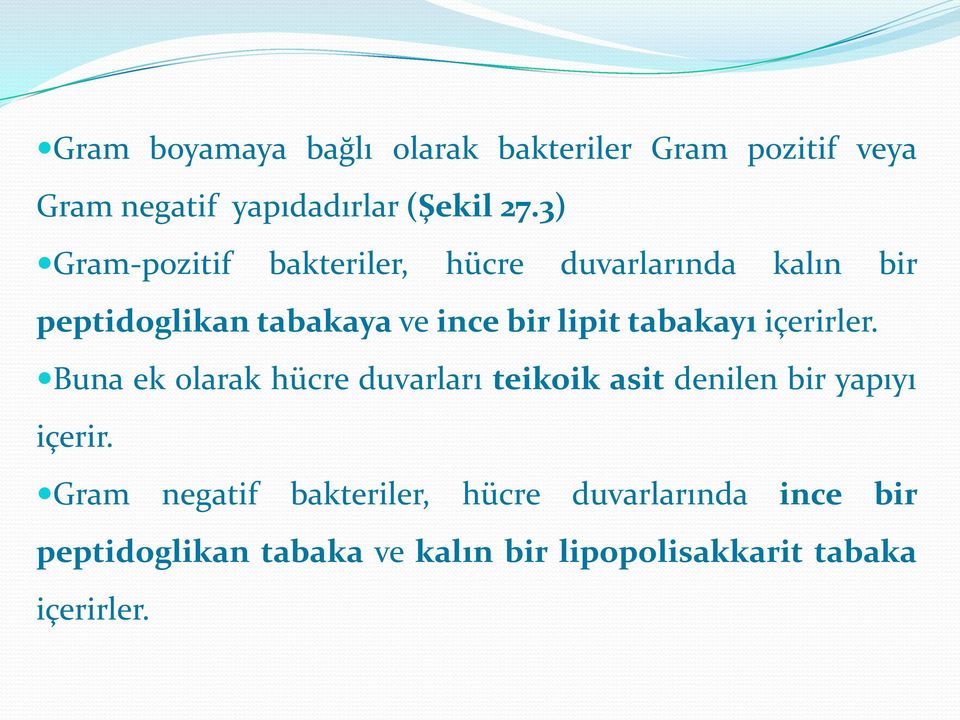 tabakayı içerirler. Buna ek olarak hücre duvarları teikoik asit denilen bir yapıyı içerir.