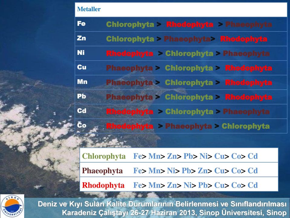 Phaeophyta Rhodophyta > Phaeophyta > Chlorophyta Chlorophyta Fe> Mn> Zn> Pb> Ni> Cu> Co> Cd Phaeophyta Rhodophyta Fe> Mn> Ni> Pb> Zn> Cu> Co> Cd Fe>