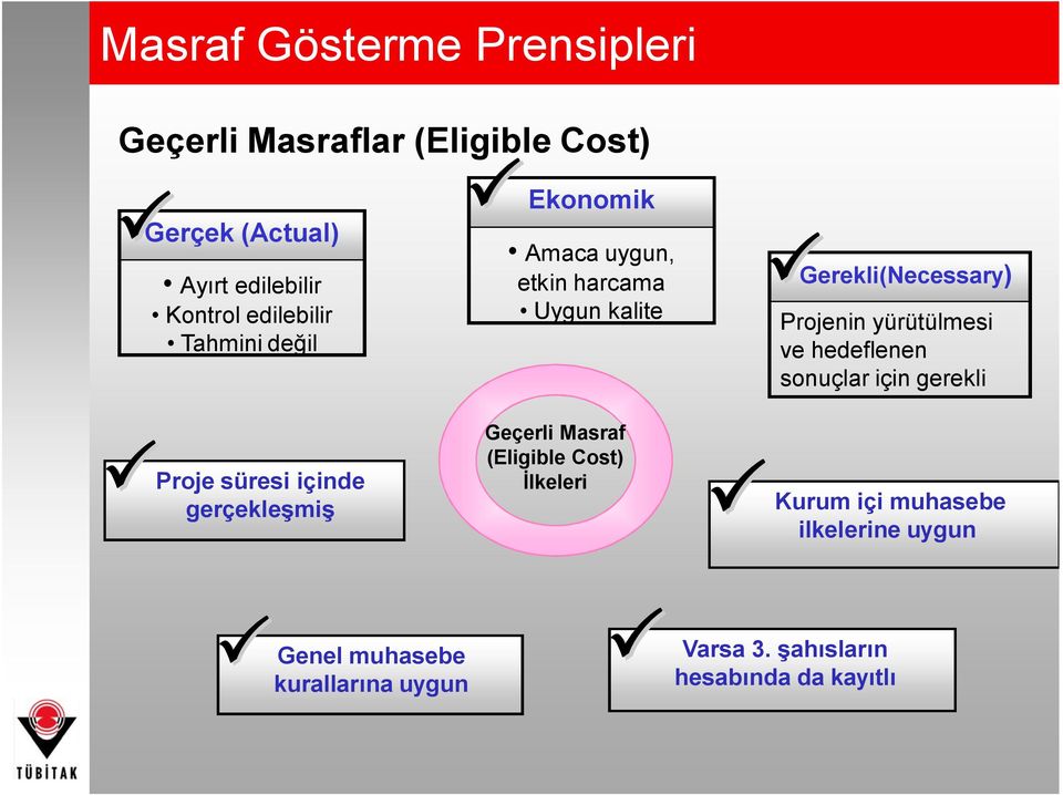 Geçerli Masraf (Eligible Cost) İlkeleri P PGerekli(Necessary) Projenin yürütülmesi ve hedeflenen sonuçlar için