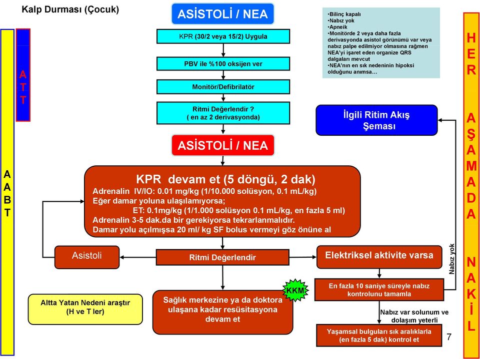 ( en az 2 derivasyonda) lgili itim kış SSO / P devam et (5 döngü, 2 dak) drenalin IV/IO: 0.01 mg/kg (1/10.000 solüsyon, 0.1 m/kg) ğer damar yoluna ulaşılamıyorsa; : 0.1mg/kg (1/1.000 solüsyon 0.