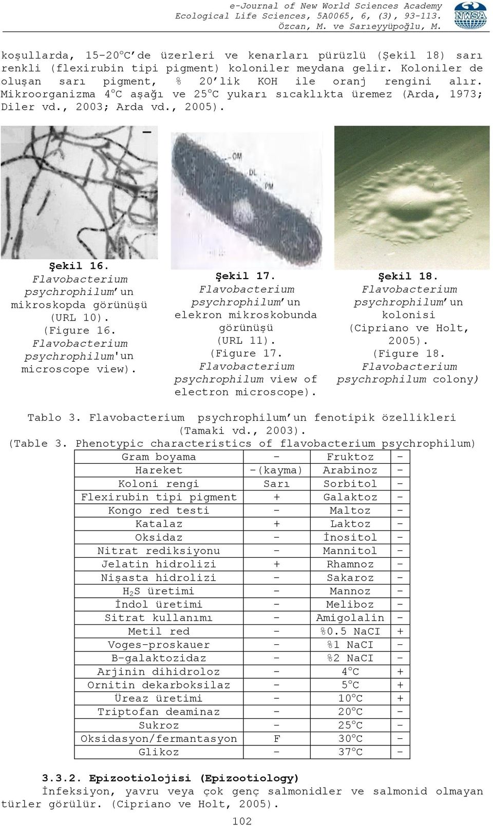 psychrophilum'un microscope view). ġekil 17. psychrophilum un elekron mikroskobunda görünüģü (URL 11). (Figure 17. psychrophilum view of electron microscope). ġekil 18.